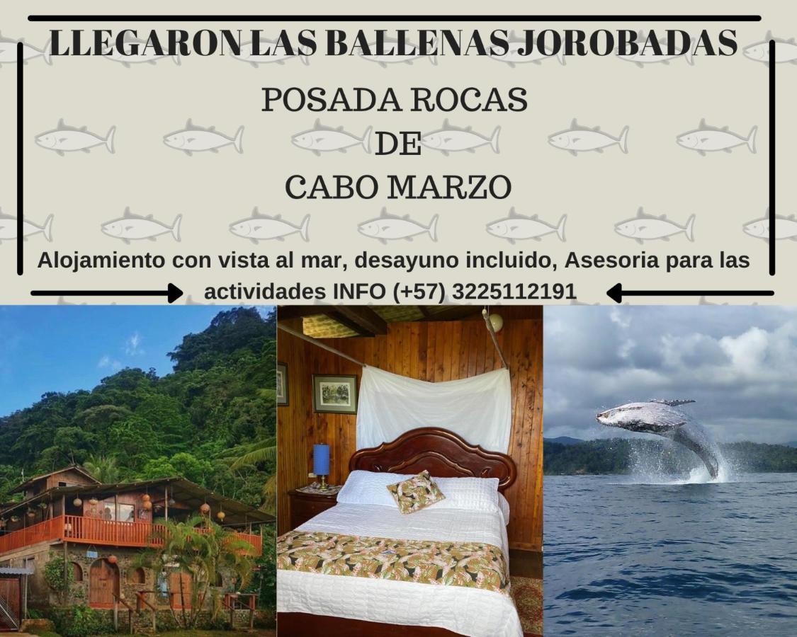 Posada Turistica Rocas De Cabo Marzo Bahia Solano Dış mekan fotoğraf